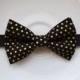 B077 Very luxury Black bow tie with Gold Dot printed Boy's bow tie / bowtie / Bow /hair bow