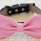 Pink Dog Bow tie with High Quality Black Leather Collar, Wedding dog accessory, Dog Bow Tie
