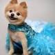 Dog Dress, Wedding, Turquoise Bling Satin Feather Harness, Aqua Blue