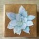 Succulent Gift Box - jewelry box, watercolor, wedding, bridesmaid gift box