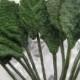 Millinery Leaves 24 Tiny Green Velvet Fabric