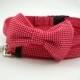 Boy Dog Collar with Bow Tie and Adjustable Leash Set