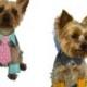 Dog Shirt Collar & Dog Cuff Pattern 1527 * XXSmall to XXLarge * Dog Clothes * Dog Wedding Collar * Dog Bow Tie Collar * Dog Neck Tie Collar