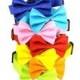Solid Bow Tie Dog Collar/ Blue/ Red/ Pink/ Orange/ Green: Rainbow Solids