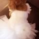 Custom Made Dog wedding dress made of Polka Dot tulle and Hand cut  flowers details