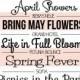 Favorite FREE Spring Fonts
