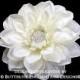 Bridal Hair Flower, Wedding Hair Accessory, Flower Hair Clip - Ivory Mirielle Dahlia Flower Clip - Vintage-inspired Rhinestone