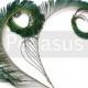 NATURAL Peacock Curled Sword Tail Feathers (4 Feathers)(14 color options) for wedding bouquets, invitations, center pieces and millinery