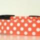 Halloween Dog Collar Orange Polka Dot Wedding Accessories Made to Order