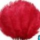 Large ostrich plumes, 1/2 lb - 8-10" RED Wholesale Ostrich Drab Feathers (Bulk) : 3913