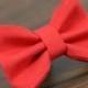 Cat or Dog Bow Tie - Simply Red