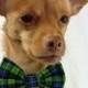 Blue and Green Plaid Pet  Bow Tie