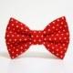 Dog Bow Tie- Polka Dot- More options available- dog collar accessory