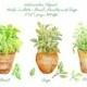 Watercolor clipart - Hand painted watercolor herbs in terracotta pots - Basil, Sage and Parsley printable instant download