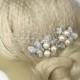 Birdcage Veil and a 2 Hair Combs - ( 3 Items ) - Bridal Headpiece, Rhinestone Bridal Comb,Headpieces,  Weddings,Blusher Bird Cage Veil