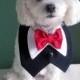 Black Dog Wedding Tuxedo with Bow Tie - Your Choice of Bow Tie Colors