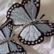 wedding garter  set Winged  Butterfly Bridal garters