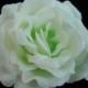 White Pale Green Silk Rose flower Hair Clip 3 Inch.