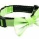 Wedding Dog Collar or Martingale with Bow Tie - Checkered Green and White