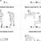 Six Pack Abs Core Strength Printable Workout