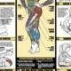 Exercise Stretches Poster - Laminated
