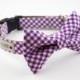 Purple Gingham Dog Bow Tie Collar