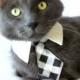 Dog/Cat black plaid necktie/bowtie on a shirt style collar