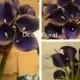 9pcs ~ 36pcs Natural Real Touch Purple Calla Lily Stem or Bundle for Silk Wedding Bridal Bouquets, Centerpieces, Decorations