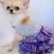 Dog Dress Couture Sparkling Mystic with Swarovski Crystals