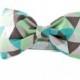 Bow Tie Dog Collar - Taupe and Green Diamonds Bow Tie Dog Collar  - Bowtie for dogs - dog wedding attire - boy dog collar - FREE SHIPPING