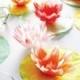 Coffee-Filter Water-Lily How-To