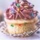 Funfetti Cupcakes - The Novice Housewife