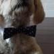 Navy Blue and White Polka Dot Bow Tie for Cats and Dogs - Preppy Pup Couture