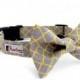 Gray and Yellow Dog Collar (Grey and Yellow Dog Collar Only - Matching Bow Tie Available Separately)