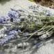 Dried Lavender Bunch Bouquet Tied with Jute Cord - Rustic - 2015 Crop