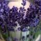 Lovely Lavender - One To Wed