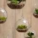8 Indoor Gardening Ideas