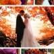 Awesome Fall Wedding Tips To Save On Your Budget