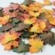 Wedding Decor 'Autumn Leaf', Fallen Leaves