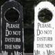Please, Do not disturb the new Mr. and Mrs.© / Rustic Distressed Painted Wood / Wedding Night / Door Hanger / Choice of Colors / Heart Tag