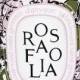 Women's Diptyque 'Rosafolia' Candle (Limited Edition)