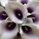 Real Touch Purple And White Calla Lilies Bouquet 10pcs/Set Purple Heart Calla Lily For Bridal Bouquets