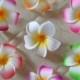 10pcs Dia 9cm Hawaiian Foam flowers Frangipani Plumeria Hawaiian Flowers For Hair Clips Beach Wedding Decor