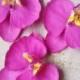 30pcs 9*10cm Radiant Purple Orchids Silk Phalaenopsis Artificial Silk Orchid Flower Heads Fabric Silk Flowers Hair Clips DIY Crafts