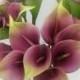 9pcs Purple Green Real Touch Calla Lilies Natural Calla Lily Bouquet For Corsage Flowers Vintage Wedding Decor