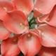 10pcs Coral Flowers Real Touch Callas Lilies Bouquet For Wedding Brides Bridesmaids Corsage DIY Flowers