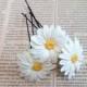 Daisies White Flower - Wedding Hair Accessories, Bohemian Wedding Hairstyles Hair Flower - Set