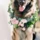 Ways To Include Pets In Your Wedding