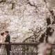 25 Stunning Cherry Blossom Wedding Photos You Will Love