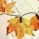 DIY Autumn Leaf Fairy Lights